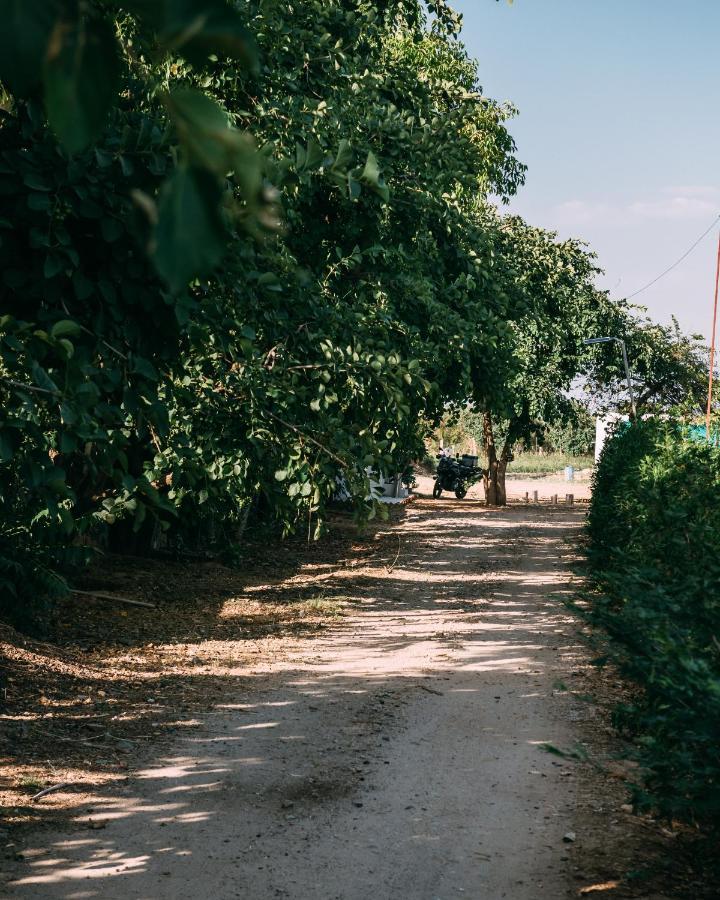 The Luxe Pushkar - A Luxury Farmstay In Pushkar Exterior photo