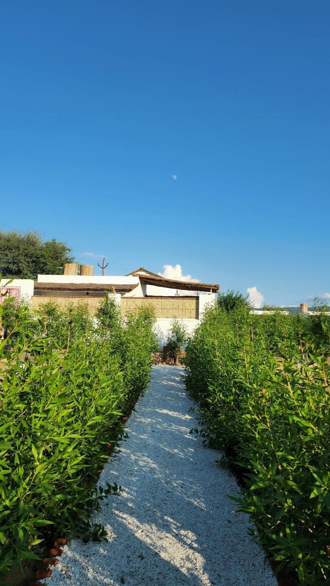The Luxe Pushkar - A Luxury Farmstay In Pushkar Exterior photo