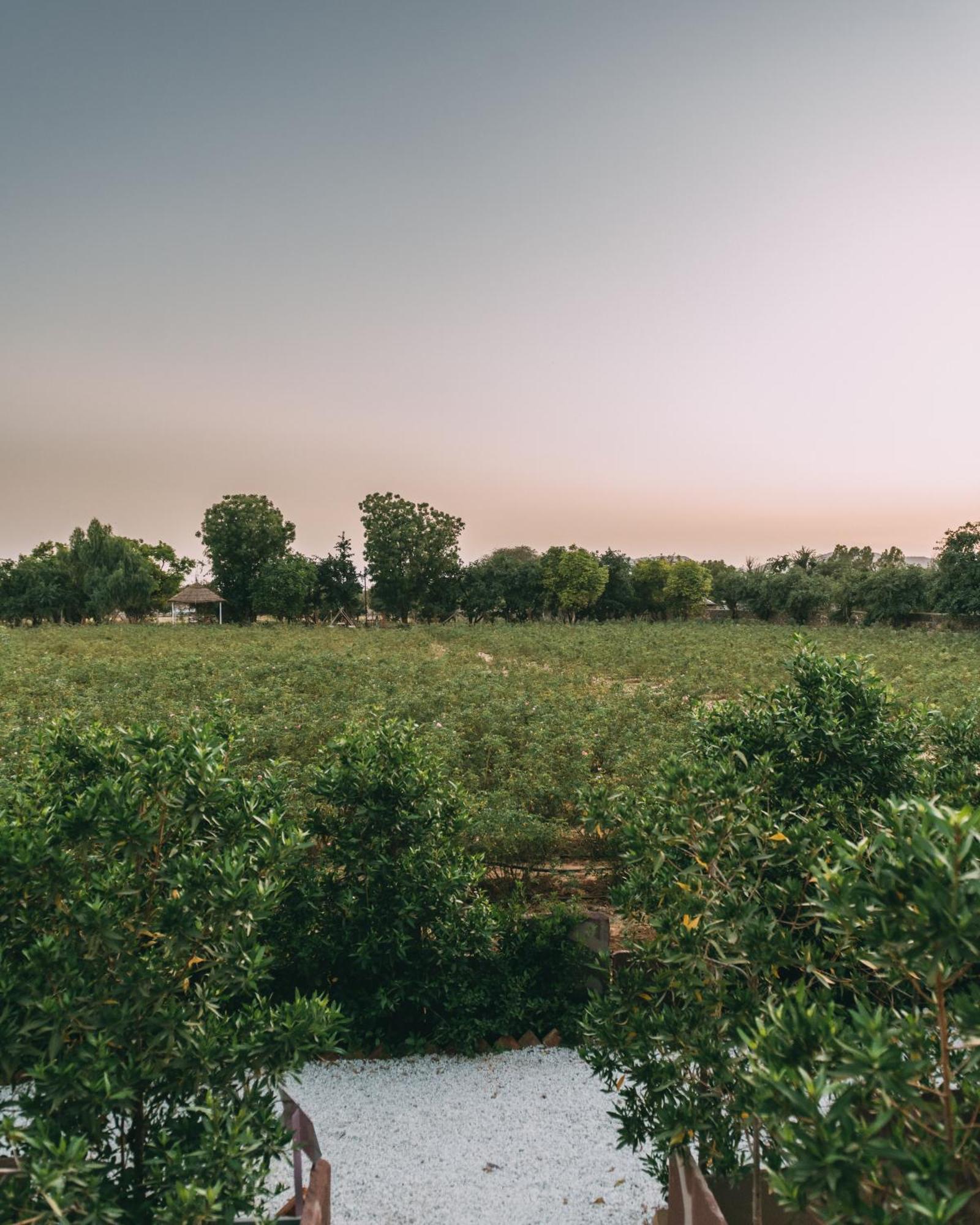 The Luxe Pushkar - A Luxury Farmstay In Pushkar Exterior photo